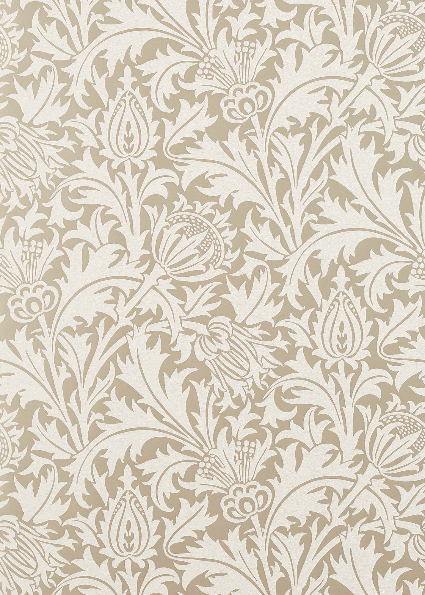 壁紙 Pure Thistle 216548 PURE MORRIS NORTH