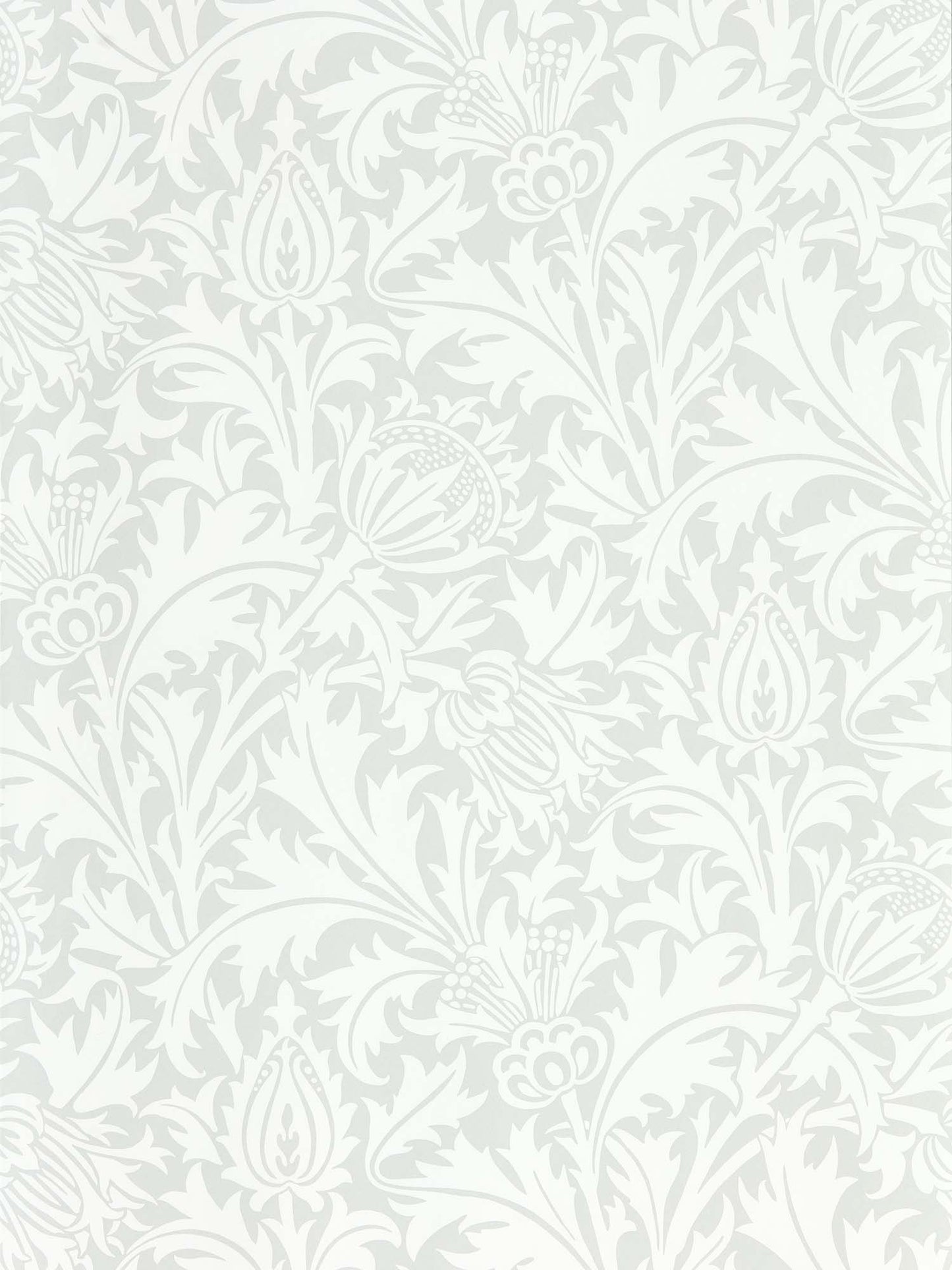 壁紙 Pure Thistle 216550 PURE MORRIS NORTH