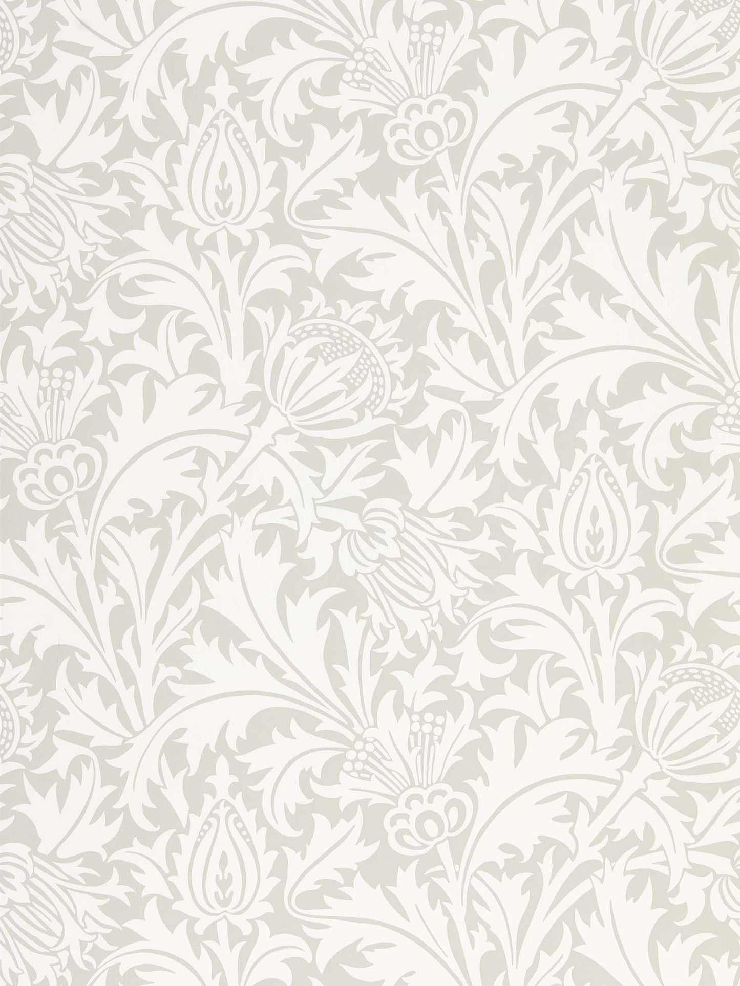 壁紙 Pure Thistle 216551 PURE MORRIS NORTH