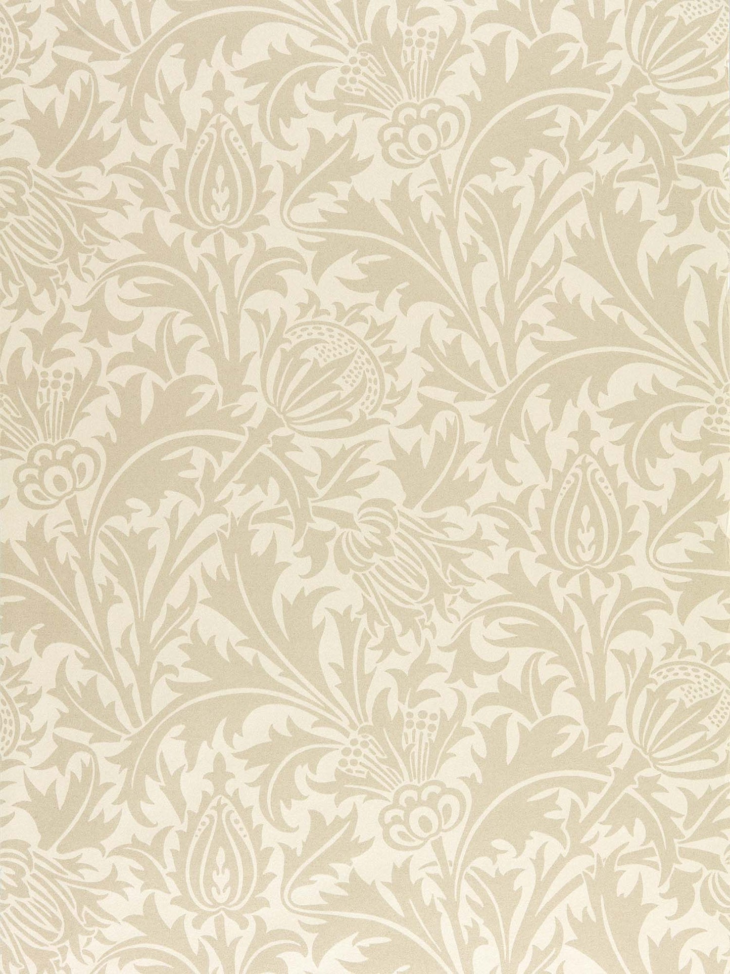 壁紙 Pure Thistle 216552 PURE MORRIS NORTH