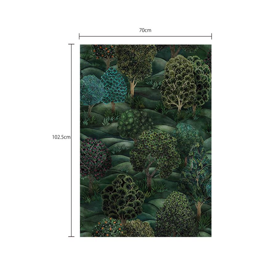 森 フォレスト イギリス 英国 ボタニカル Cole&Son コール&サン 115/9028 テシード 70cm巾