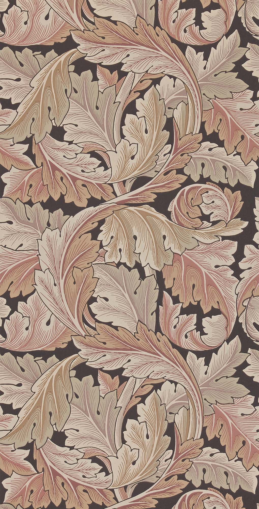 壁紙 Acanthus アカンサス 212551 Morris Archive Collections Ⅱ
