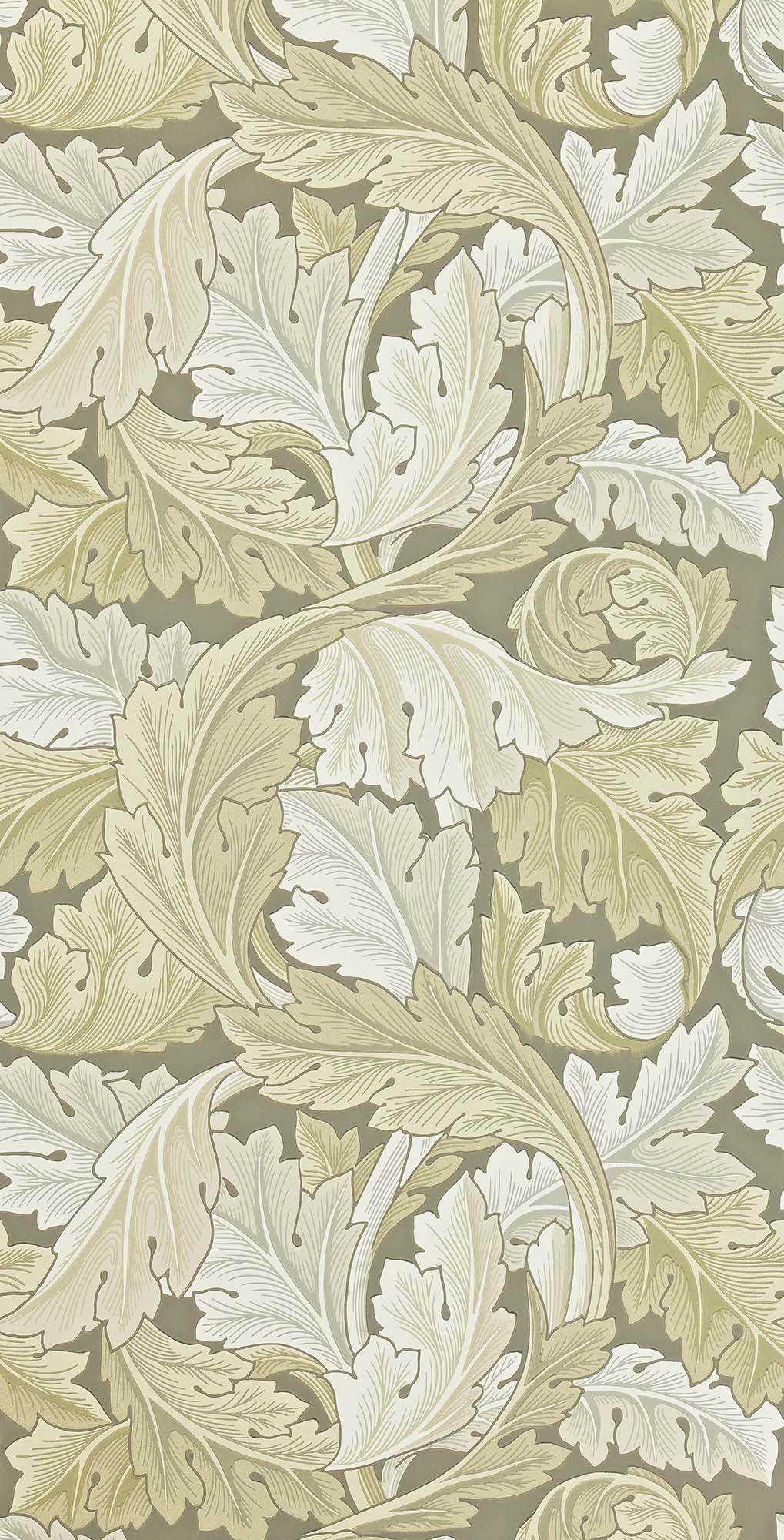 壁紙 Acanthus アカンサス 212552 Morris Archive Collections Ⅱ
