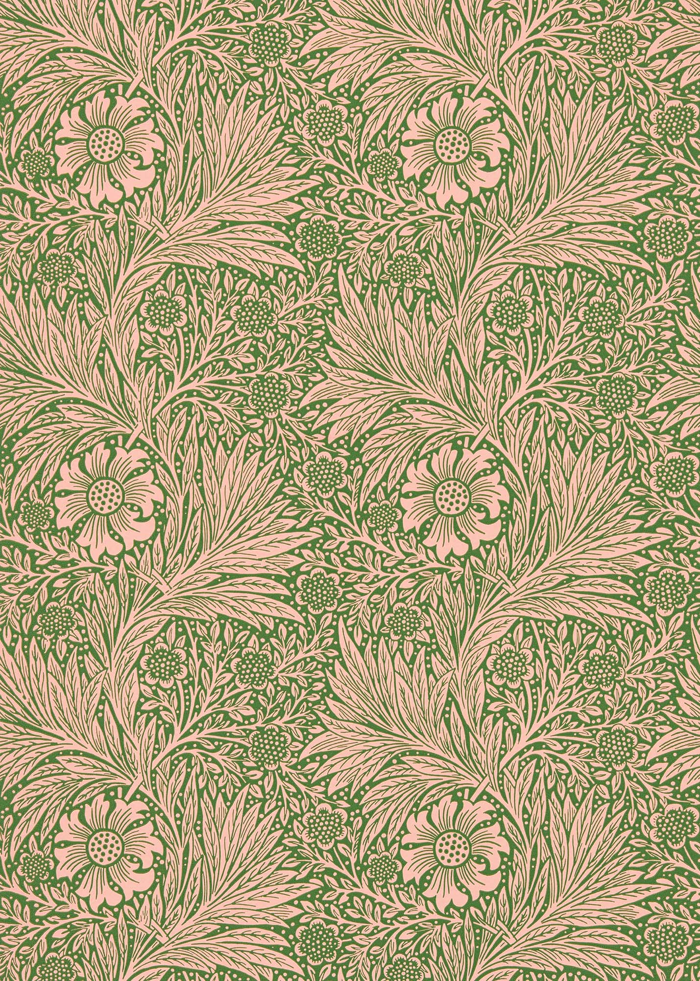 壁紙 Marigold 216953 QUEEN SQUARE
