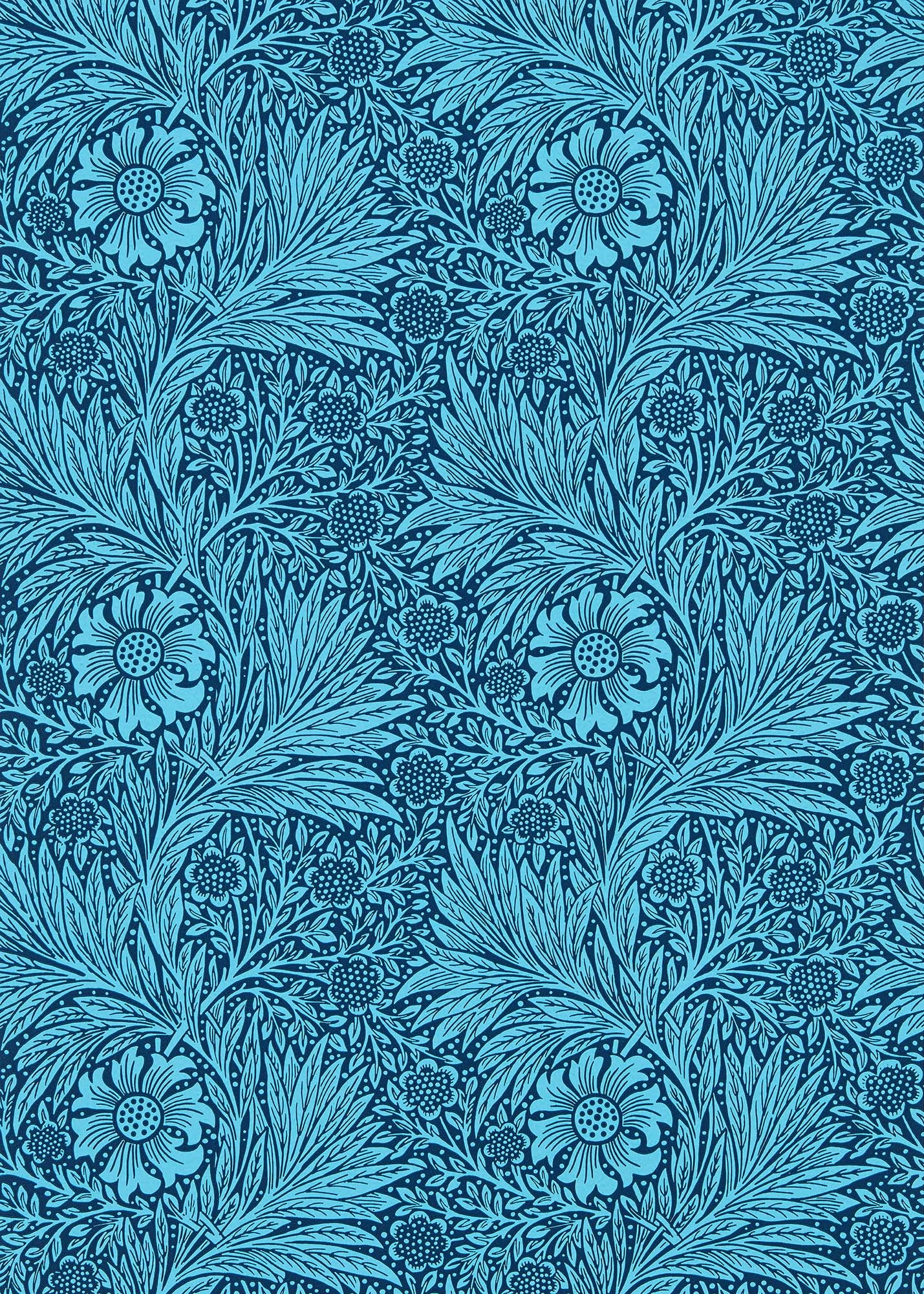 壁紙 Marigold 216954 QUEEN SQUARE
