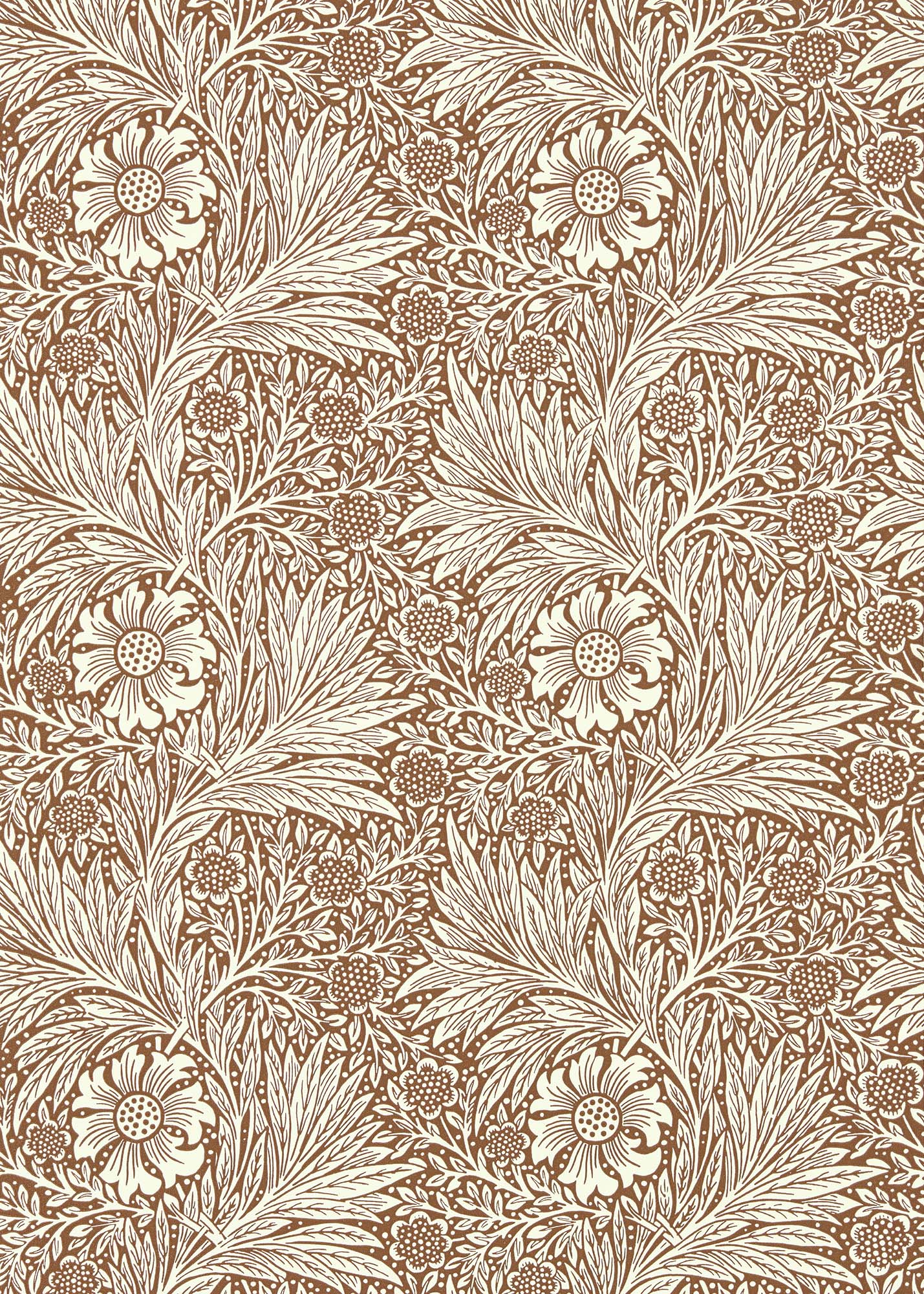 壁紙 Marigold 216955 QUEEN SQUARE