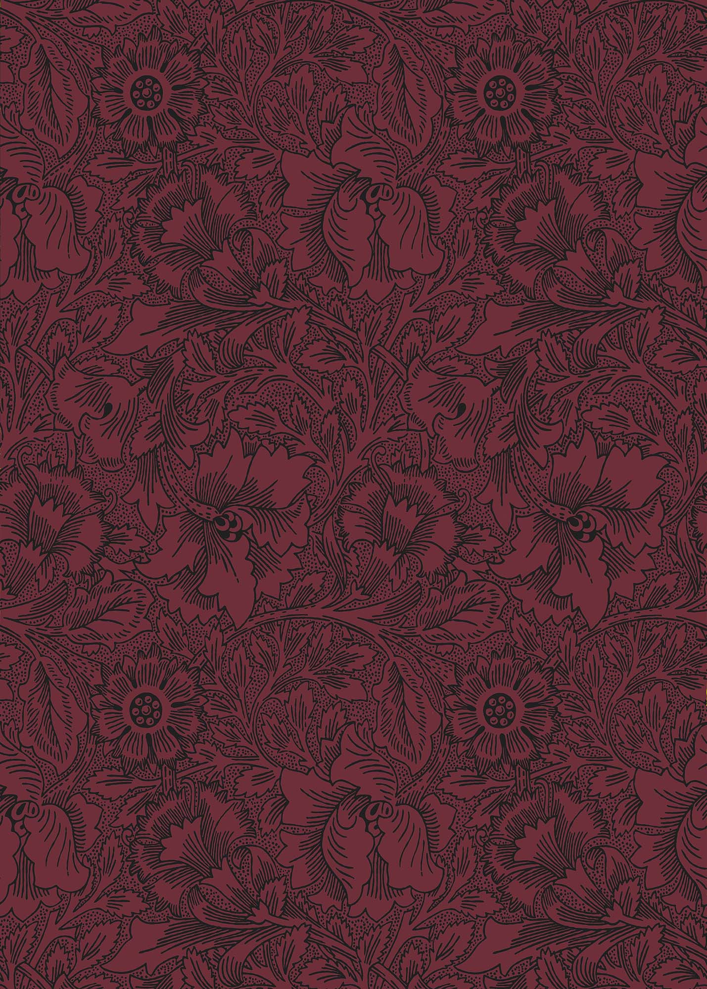 壁紙 Poppy 216956 QUEEN SQUARE