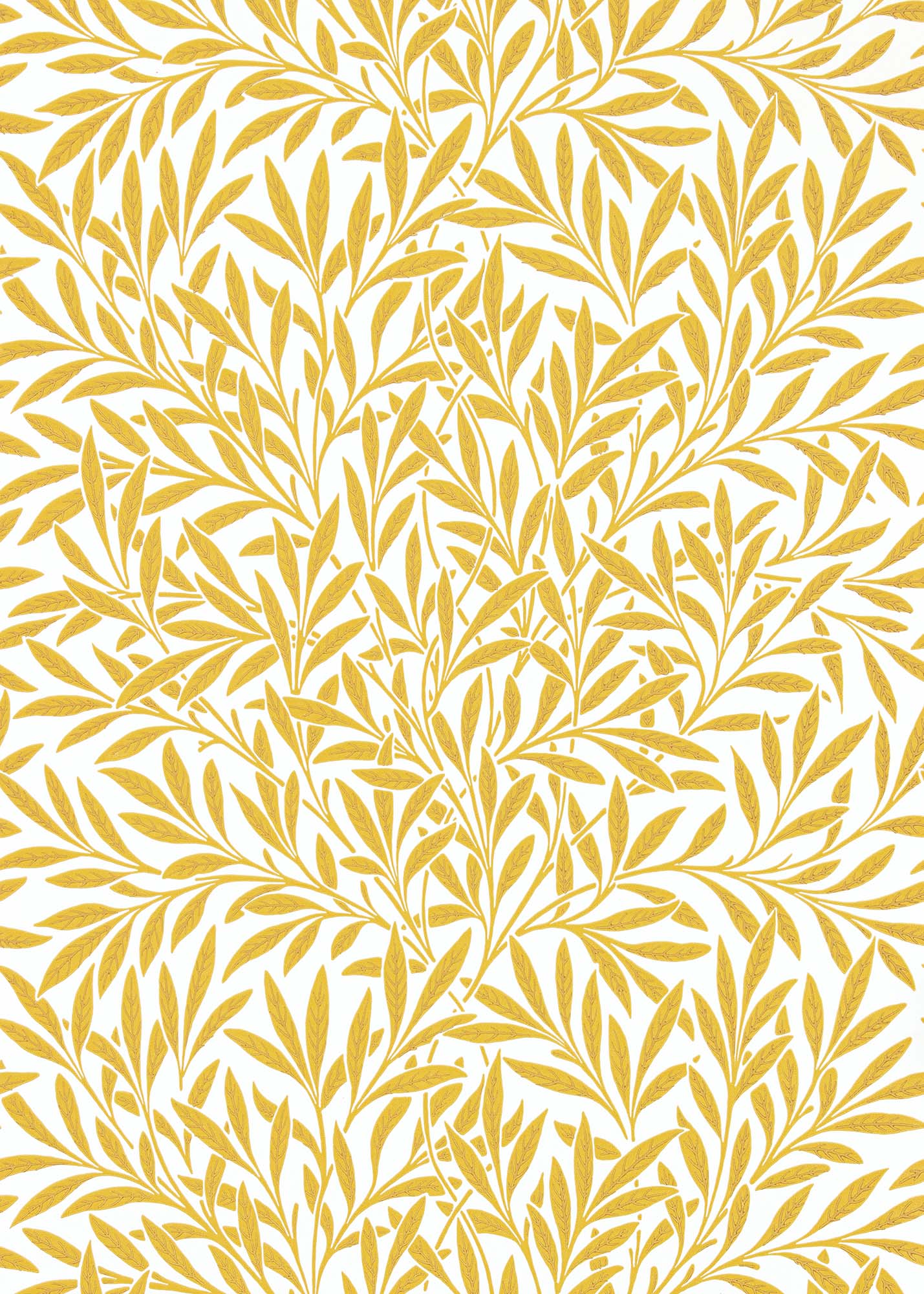 壁紙 Willow 216963 QUEEN SQUARE