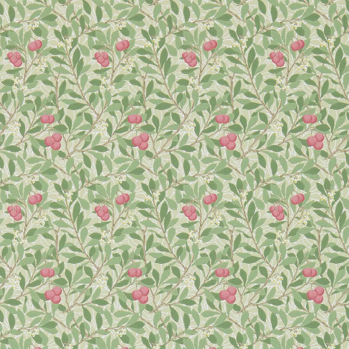 壁紙 Arbutus 214720 MORRIS Archive Collections Ⅲ