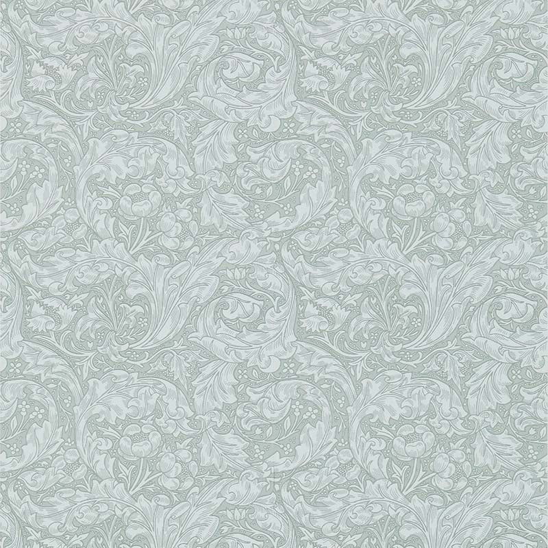 壁紙 バチェラーズボタン Bachelors Button 214735 Archive Collections Ⅲ