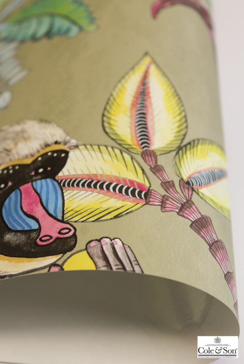 壁紙  テシード Cole＆Son コール&サン 109/1001、109/1004、109/1005 イギリス