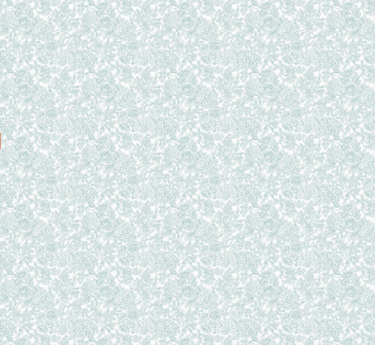 壁紙  ローラアシュレイ 119860 Louise ルイーズ