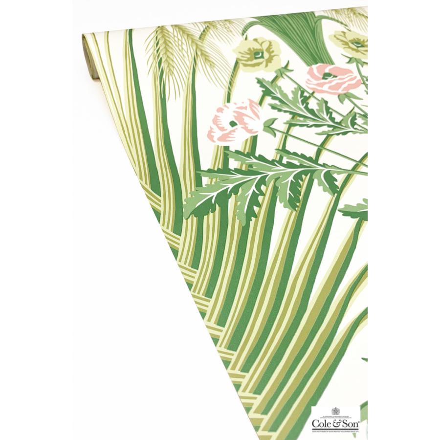 庭園 ガーデン イギリス 英国 植物 花柄 ボタニカル Cole＆Son コール&サン 貼り換え リノベ DIY 自分で 不織布 テシード 短納期