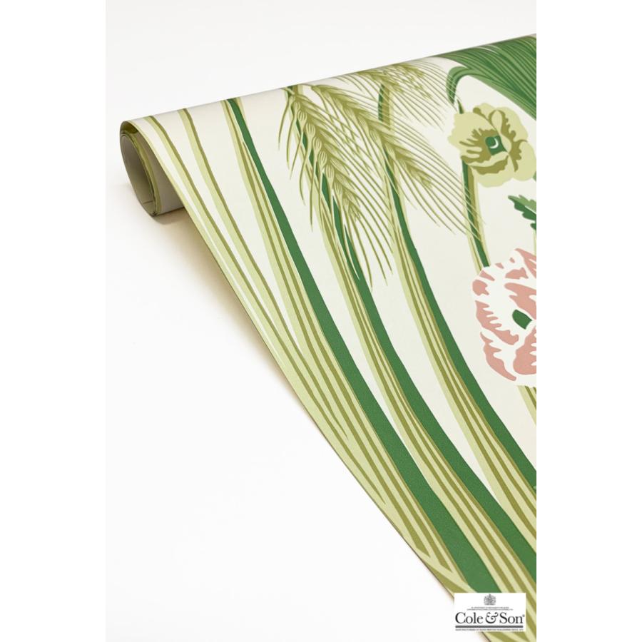 庭園 ガーデン イギリス 英国 植物 花柄 ボタニカル Cole＆Son コール&サン 貼り換え リノベ DIY 自分で 不織布 テシード 短納期