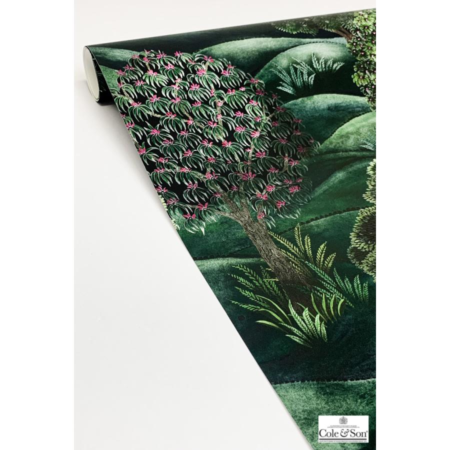 森 フォレスト イギリス 英国 ボタニカル Cole＆Son コール&サン 115/9028 テシード 70cm巾