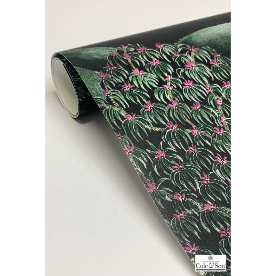 森 フォレスト イギリス 英国 ボタニカル Cole＆Son コール&サン 115/9028 テシード 70cm巾