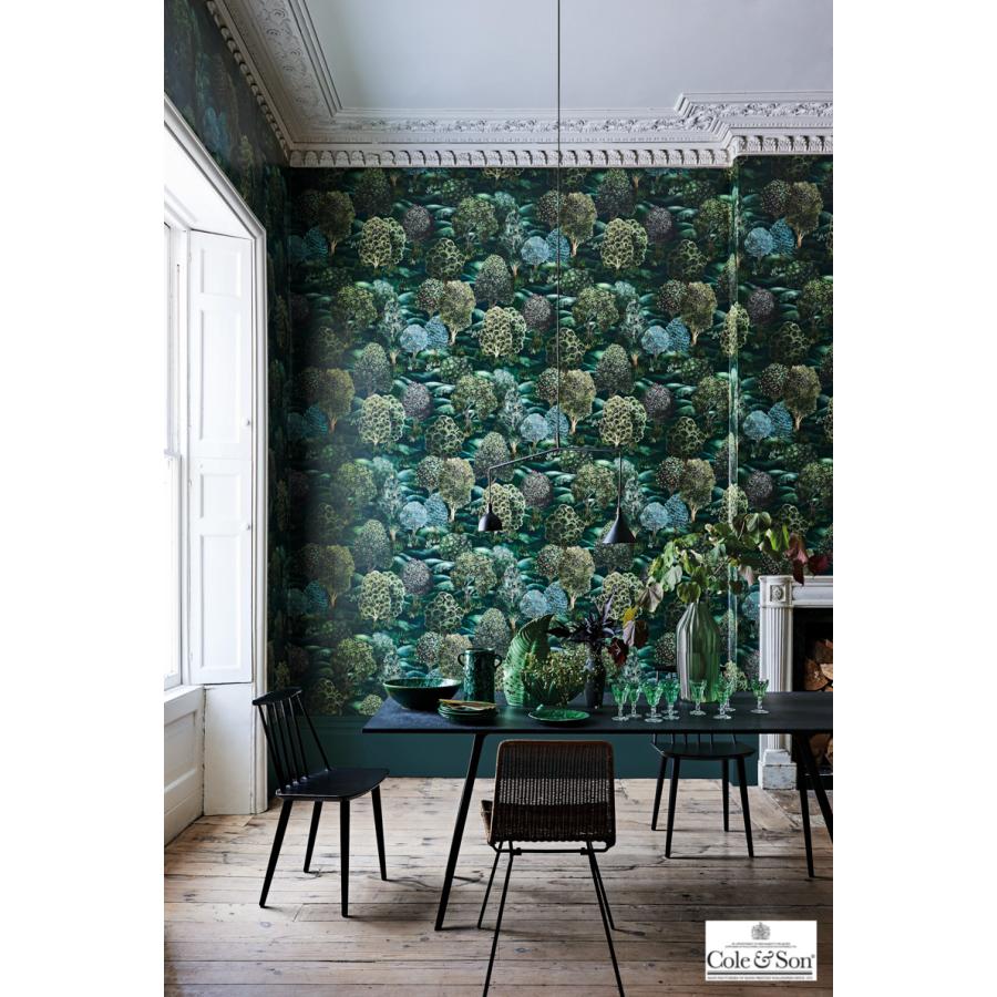 森 フォレスト イギリス 英国 ボタニカル Cole＆Son コール&サン 115/9028 テシード 70cm巾