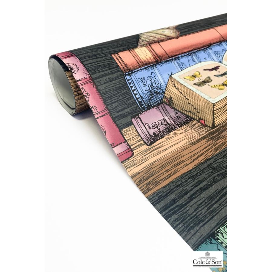 本棚柄 ブックスタンド 洋書柄 イタリア フォルナセッティ Cole＆Son コール&サン 114/13025 テシード