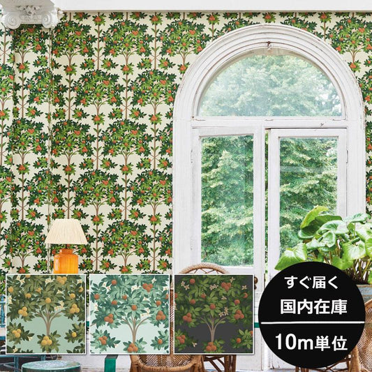 建物柄 スペイン オレンジの木 ボタニカル アンダルシア Cole＆Son コールアンドサン 貼り換え リノベ DIY 自分で 不織布 テシード 短納期