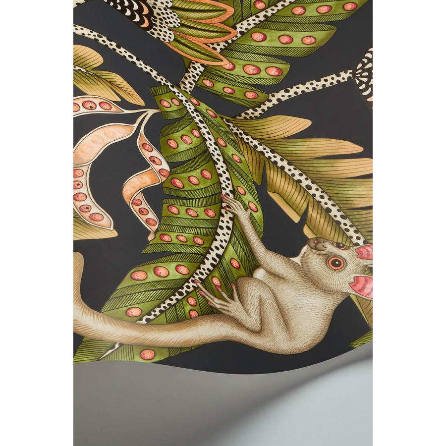 サファリ柄 ブッシュベイビー サル 植物 アフリカン Cole＆Son コール&サン 貼り換え リノベ DIY 自分で 不織布 テシード 短納期