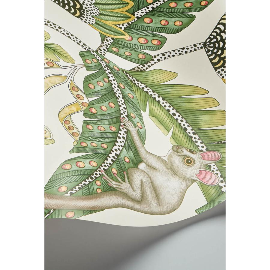 サファリ柄 ブッシュベイビー サル 植物 アフリカン Cole＆Son コール&サン 貼り換え リノベ DIY 自分で 不織布 テシード 短納期