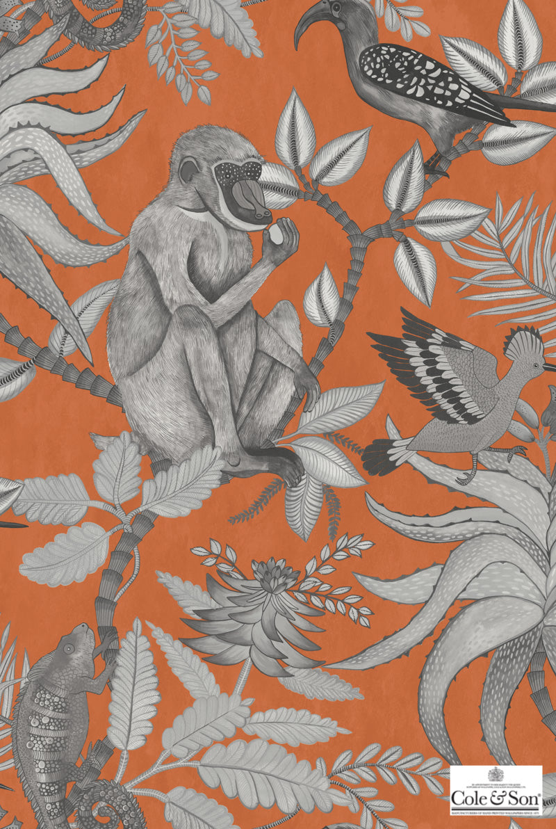 壁紙  テシード Cole＆Son コール&サン 109/1001、109/1004、109/1005 イギリス