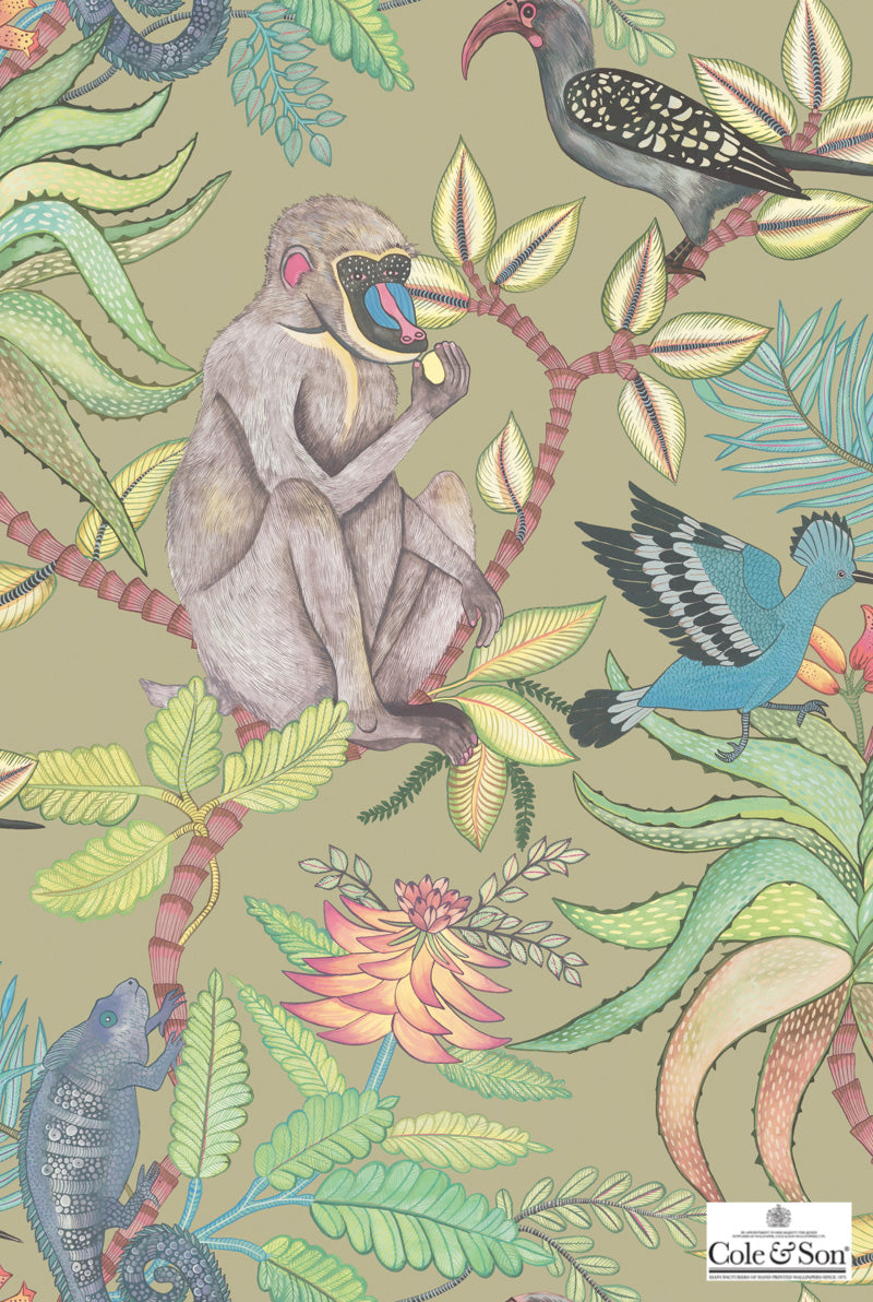 壁紙  テシード Cole＆Son コール&サン 109/1001、109/1004、109/1005 イギリス