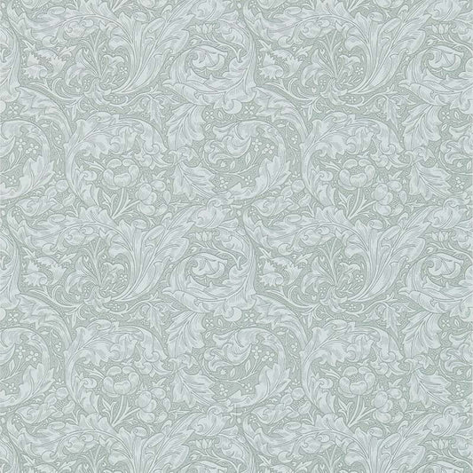 壁紙 バチェラーズボタン Bachelors Button 214735 Archive Collections Ⅲ